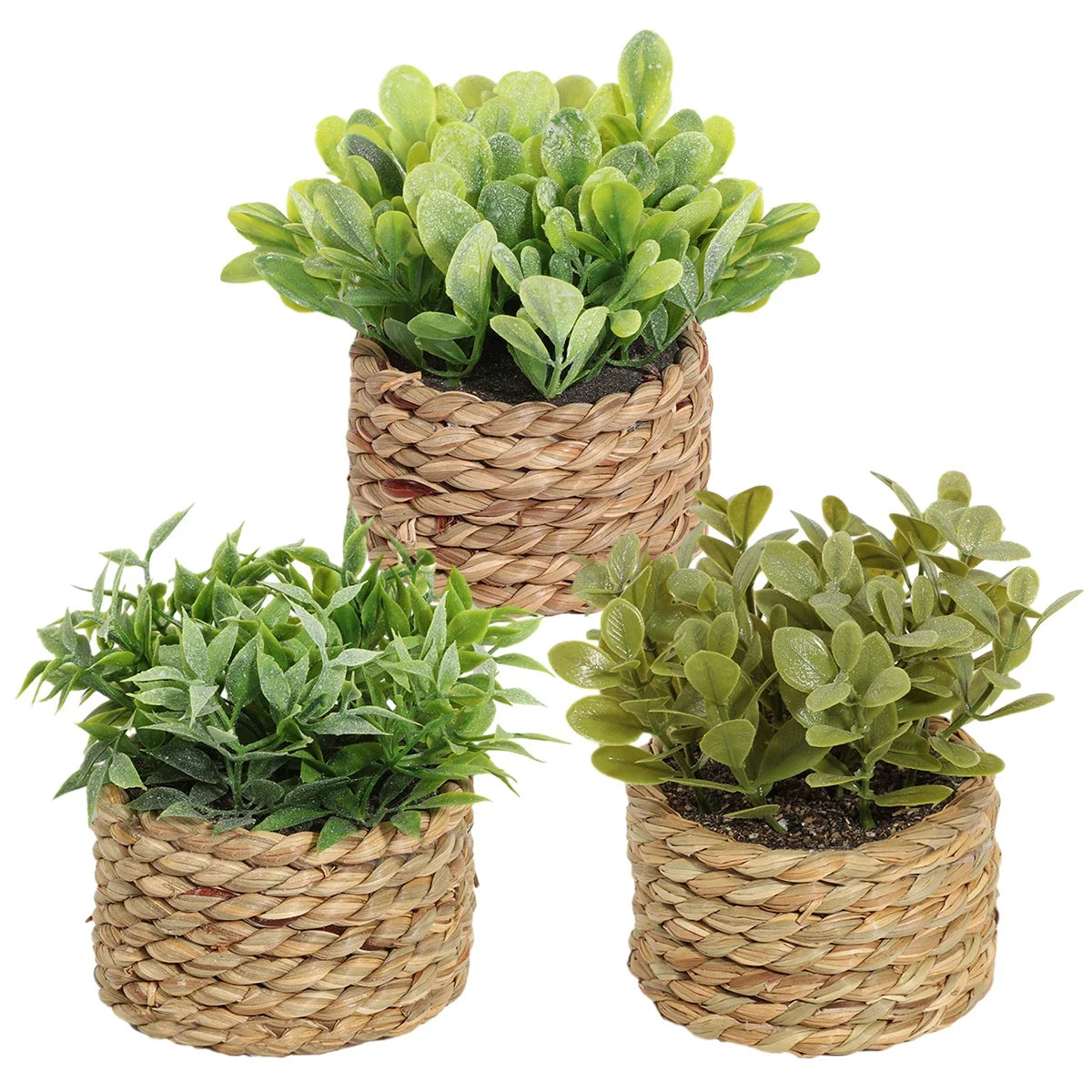 Set of 3 Decorative Potted Plants