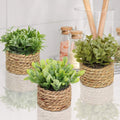 Set of 3 Decorative Potted Plants