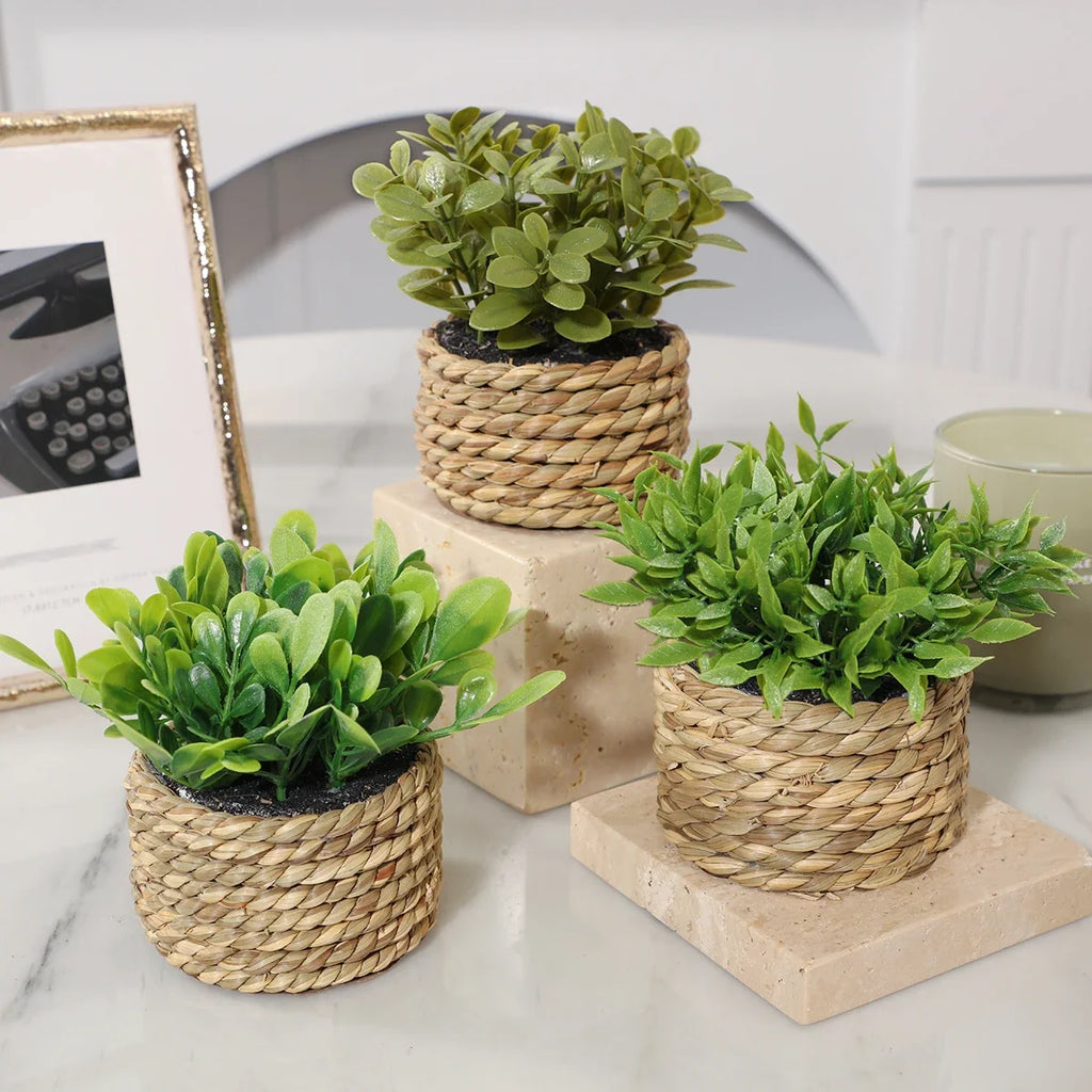 Set of 3 Decorative Potted Plants